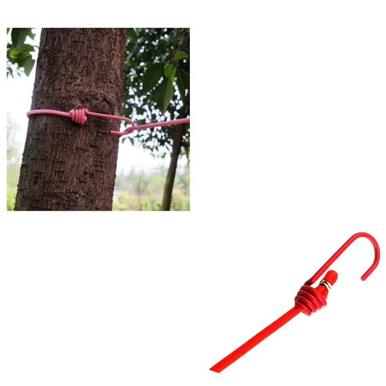 Outdoor Portable Retractable Windproof Clothes Line Rope with 12 Clips - Rose