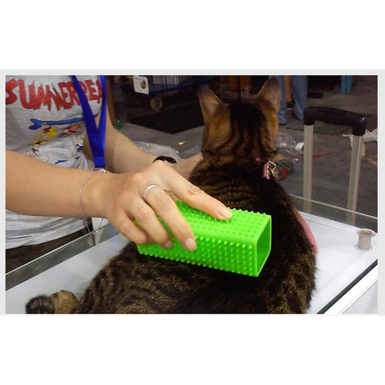 Silicone Puppy Dogs Cats Shedding Hair Remover Brush Grooming Tool - Green