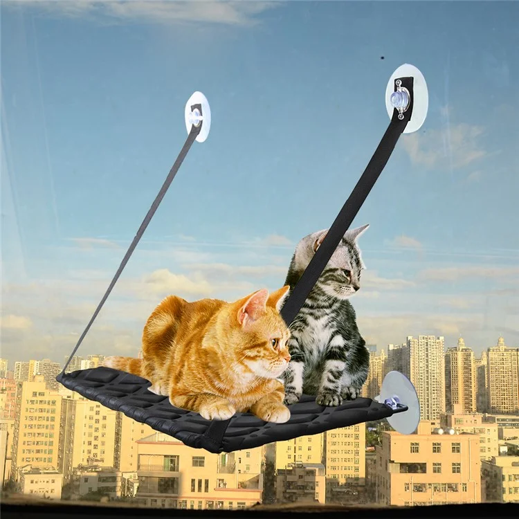Single Layer Cat Hammock Comfortable Pet Hanging Window Perch - Black