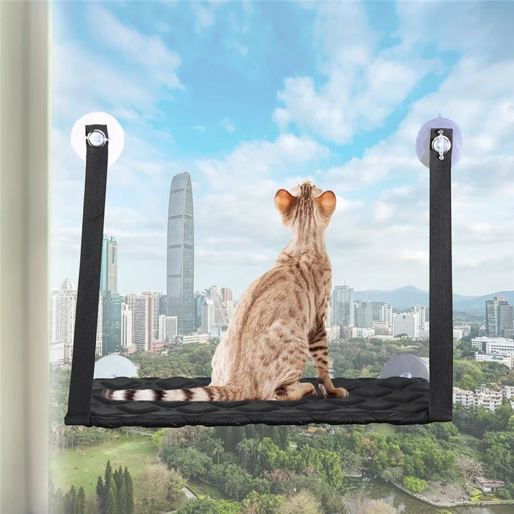 Single Layer Cat Hammock Comfortable Pet Hanging Window Perch - Black