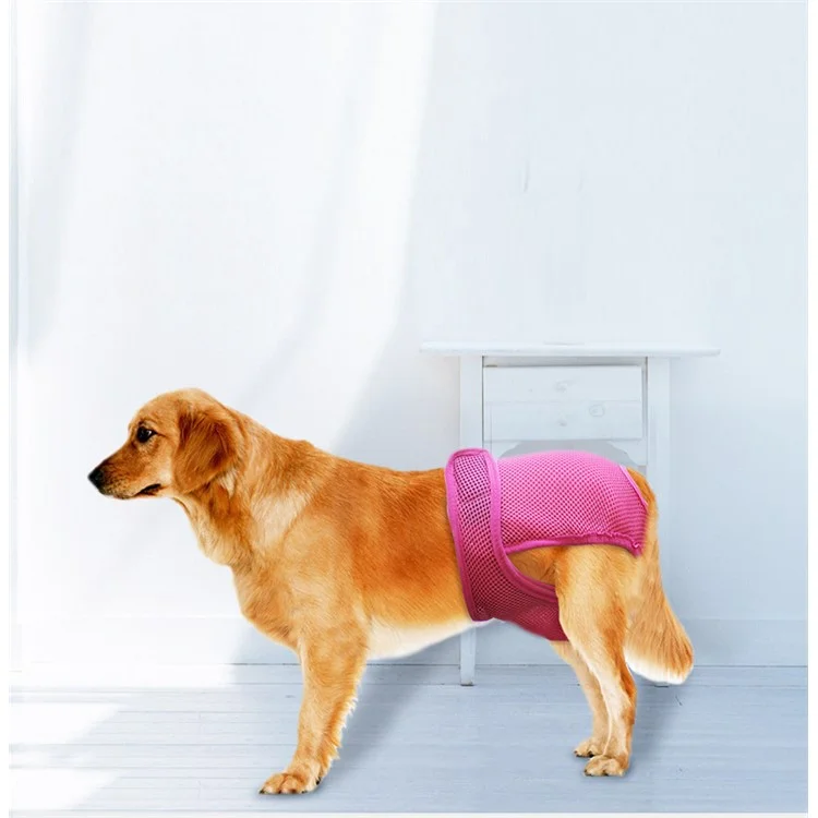 Pet Dog Diaper Sanitary Physical Pants with Velcro Closure - Rose / Size: M