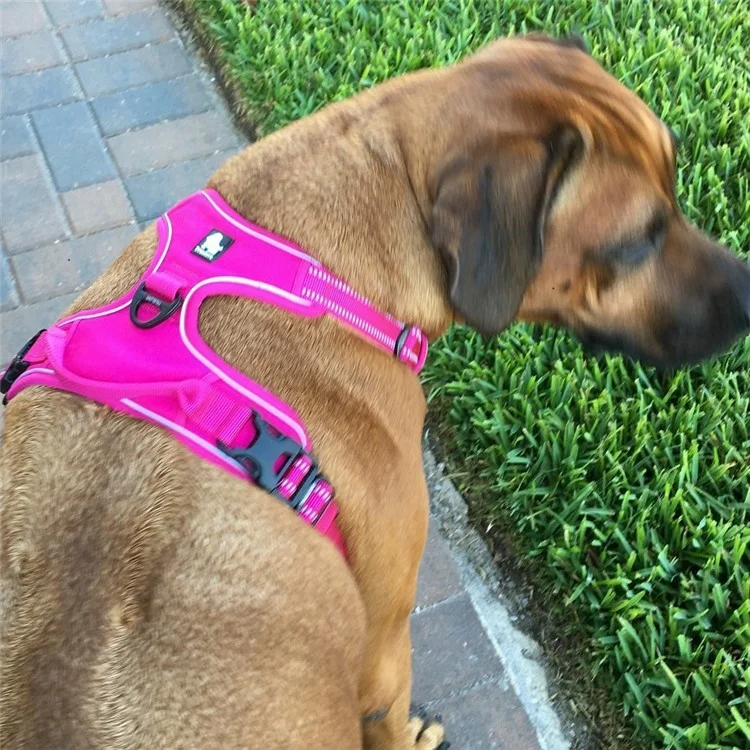 TRUELOVE Nylon Pets Dogs Soft Padded Chest Dog Harness (TLH5651) - Rose / Size: L