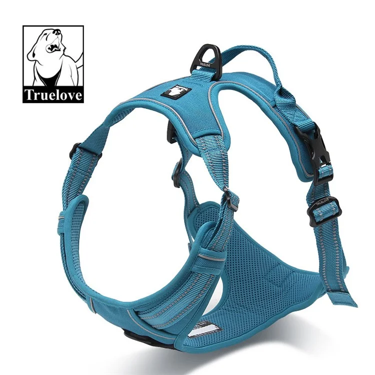 TRUELOVE No-Pull Non-Choking Front Range Dog Harness (TLH5651) - Blue / Size: L
