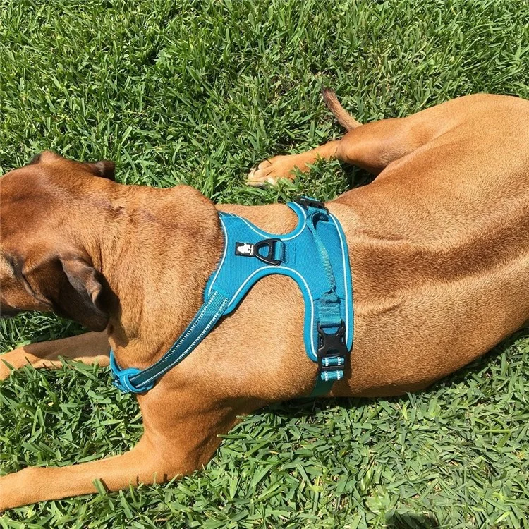 TRUELOVE No-Pull Non-Choking Front Range Dog Harness (TLH5651) - Blue / Size: L