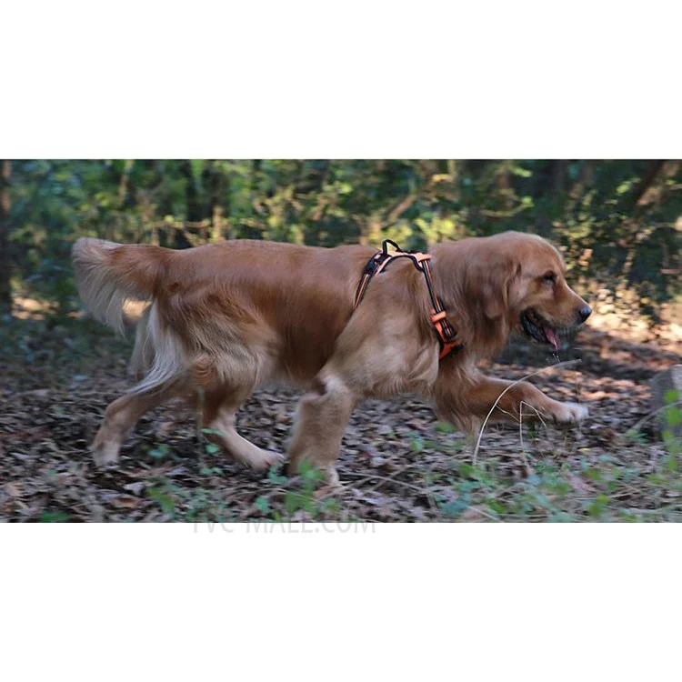 TRUELOVE No-Pull Dog Harness Outdoor Adventure Pet Vest with Handle (TLH5651) - Orange / Size: M