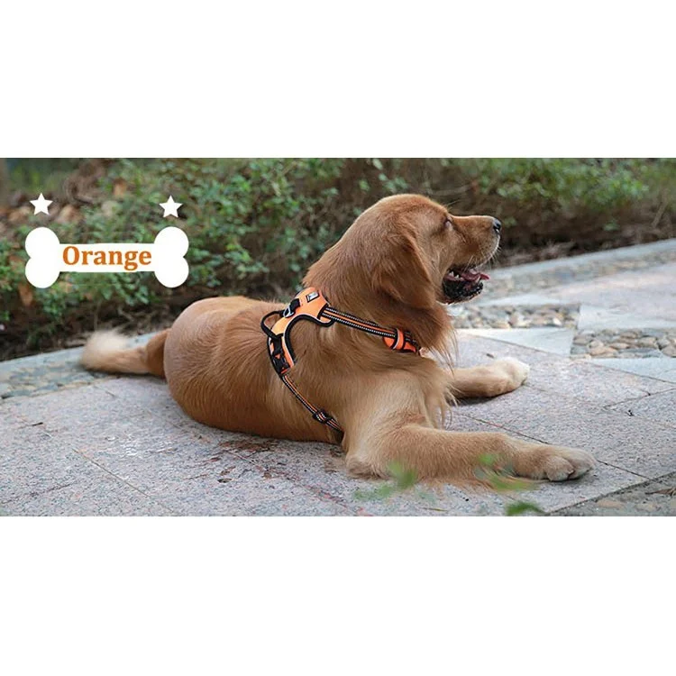 TRUELOVE No Pull Reflective Mesh Adjustable Dog Harness (TLH5651) - Orange / Size: S