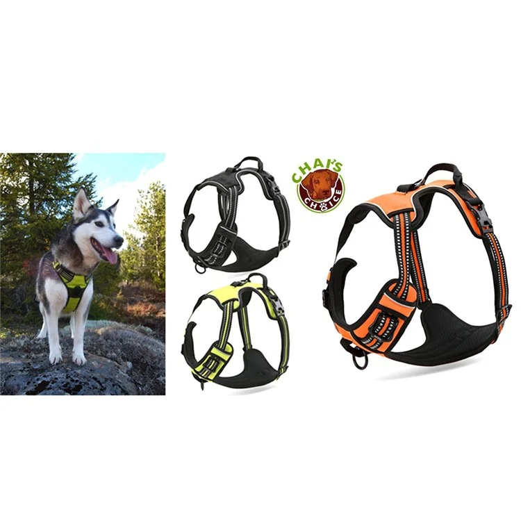 TRUELOVE No Pull Reflective Mesh Adjustable Dog Harness (TLH5651) - Orange / Size: S