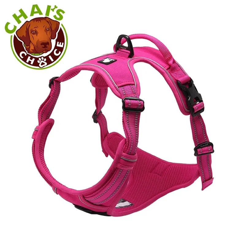 TRUELOVE No-pull Dog Harness Outdoor Adventure Pet Vest with Handle (TLH5651) - Rose / Size: XL