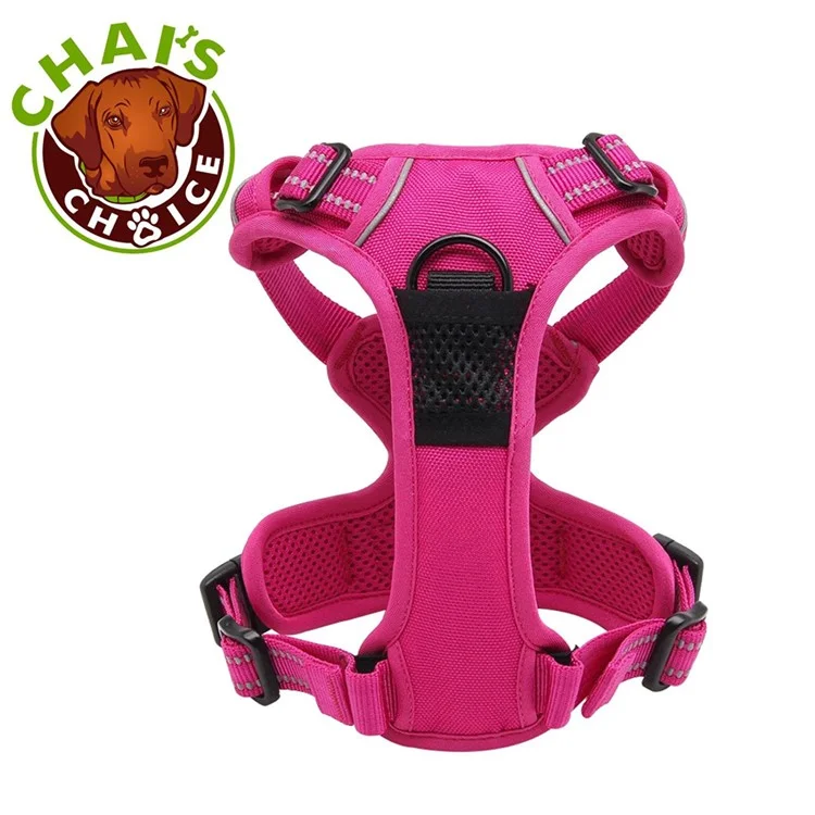TRUELOVE No-pull Dog Harness Outdoor Adventure Pet Vest with Handle (TLH5651) - Rose / Size: XL
