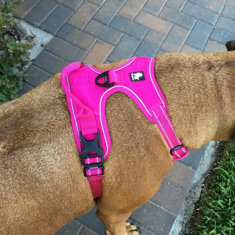 TRUELOVE No-pull Dog Harness Outdoor Adventure Pet Vest with Handle (TLH5651) - Rose / Size: XL