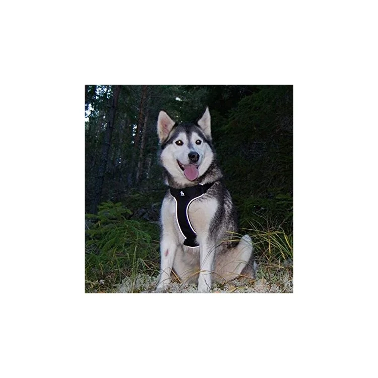TRUELOVE Dog Body Harness Adjustable Traction Chest Straps for Husky Large Dogs - Grey, Size L