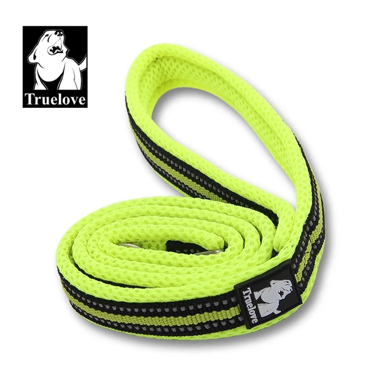 TRUELOVE Walking Dog Strap Nylon Mesh Paded Pet Leash 110 x 2.0cm - Green / M Size