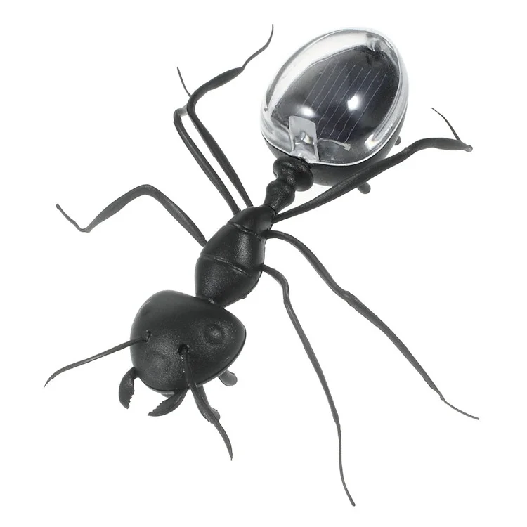 Solar Powered Ant Toy for Kids