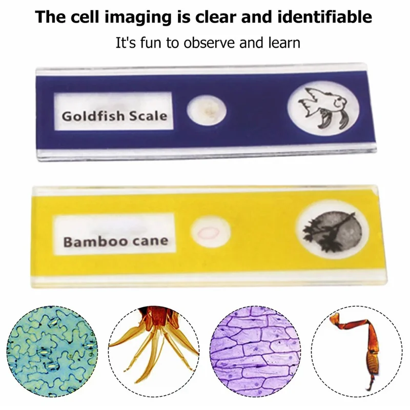 1355 Bærbar lommemikroskop-legetøj til børn med batteri, prøver - Hvid