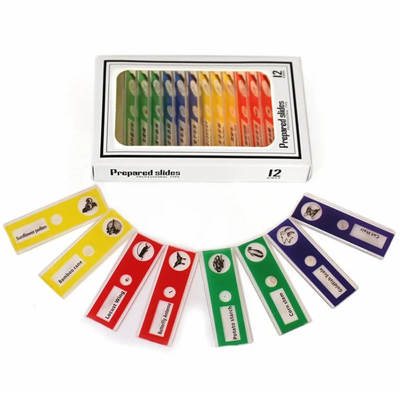 1355 Bærbar lommemikroskop-legetøj til børn med batteri, prøver - Hvid