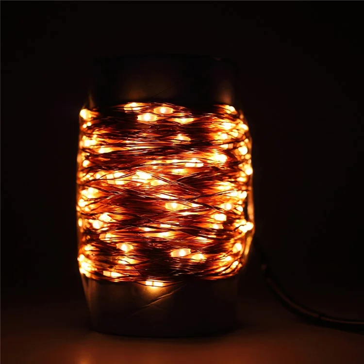 20M 200-LED Warm White Dimmable Copper Wire LED Starry Light with Remote Controller - EU Plug