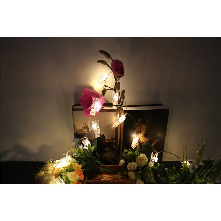 5 mètres 40 LED Guirlande lumineuse à pinces photo avec télécommande 8 modes de choix Alimenté par batterie - Blanc chaud