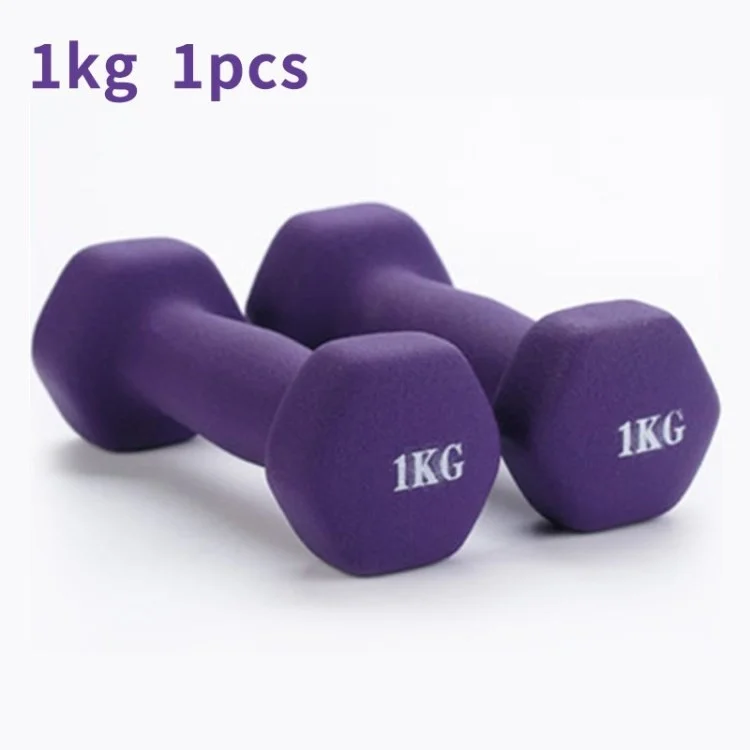 Fitness Dumbbell Home Exercise Arm Hand Weight Pilate Dumbbells for  Ladies Kids - Purple/1kg