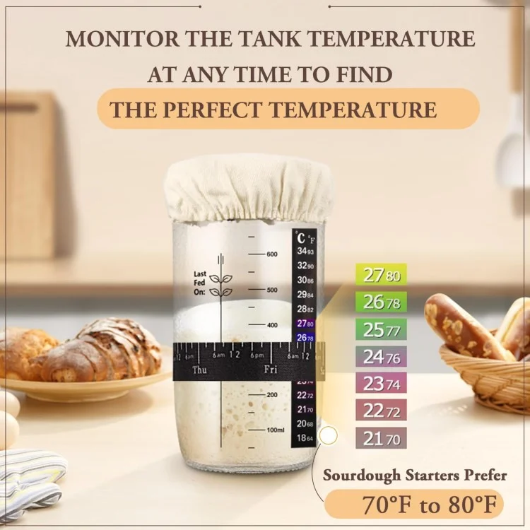 24 oz / 730 ml en Verre Transparent au Levain de Levain de Fermentation de Levain - 730 ml / Style B