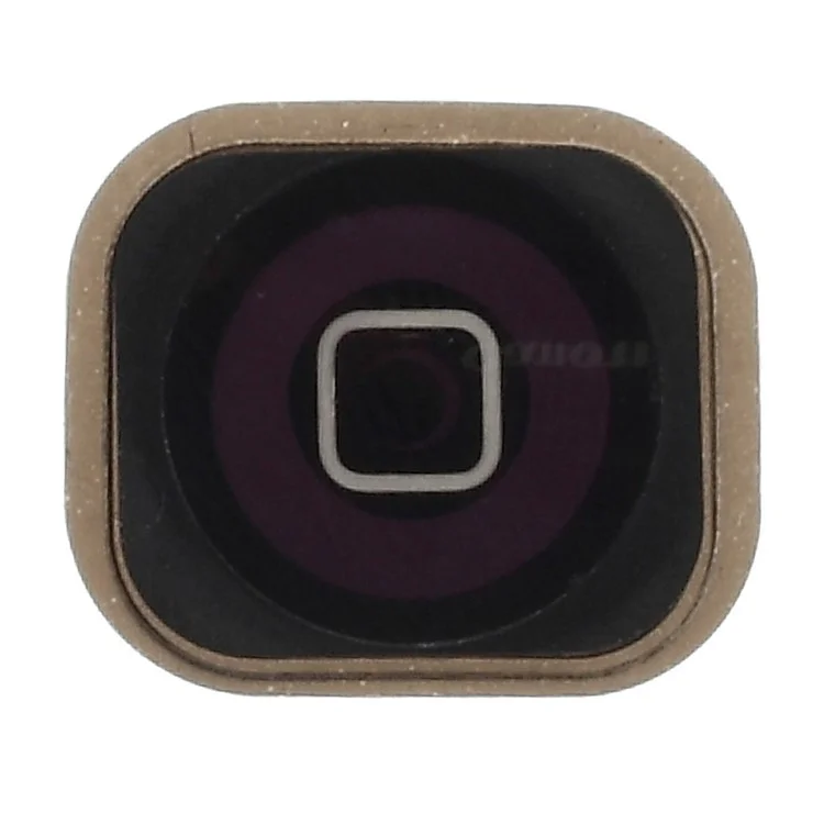 OEM Iron Plate + Home Button + Front Camera with Sensor Flex Cable + Front Camera Holder + Sensor IC Holder + Home Button Flex Cable + Earpiece Mesh + Earpiece + Earpiece Bracket + Screws for iPhone 5