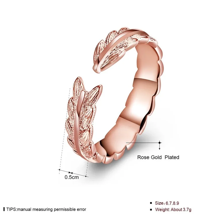 PFH039300531A