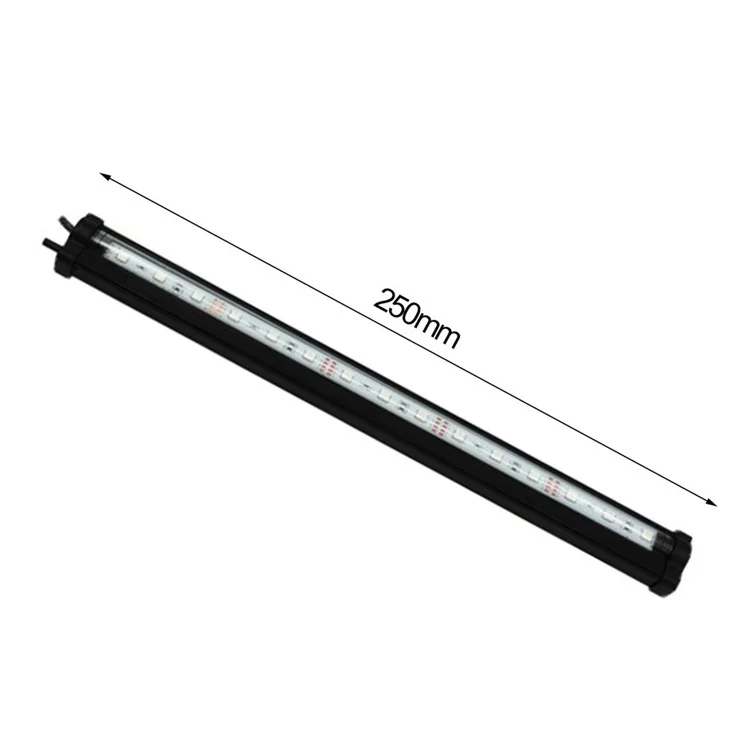 Y1210200238A