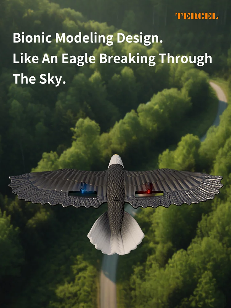 HW40 RC Plane Remote Control Eagle Plane 2.4GHZ 2.5CH Flying Bird RC Glider with 6-axis Gyro 3