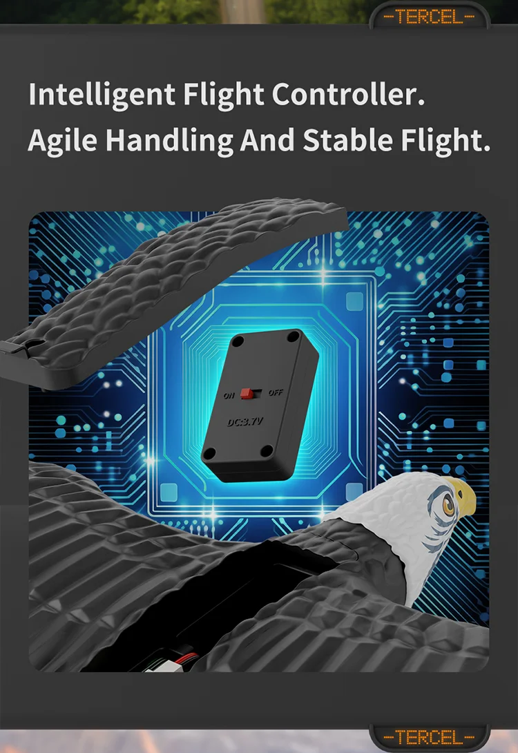 HW40 RC Plane Remote Control Eagle Plane 2.4GHZ 2.5CH Flying Bird RC Glider with 6-axis Gyro 4