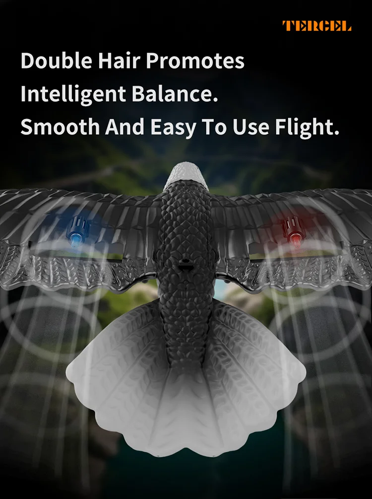 HW40 RC Plane Remote Control Eagle Plane 2.4GHZ 2.5CH Flying Bird RC Glider with 6-axis Gyro 6