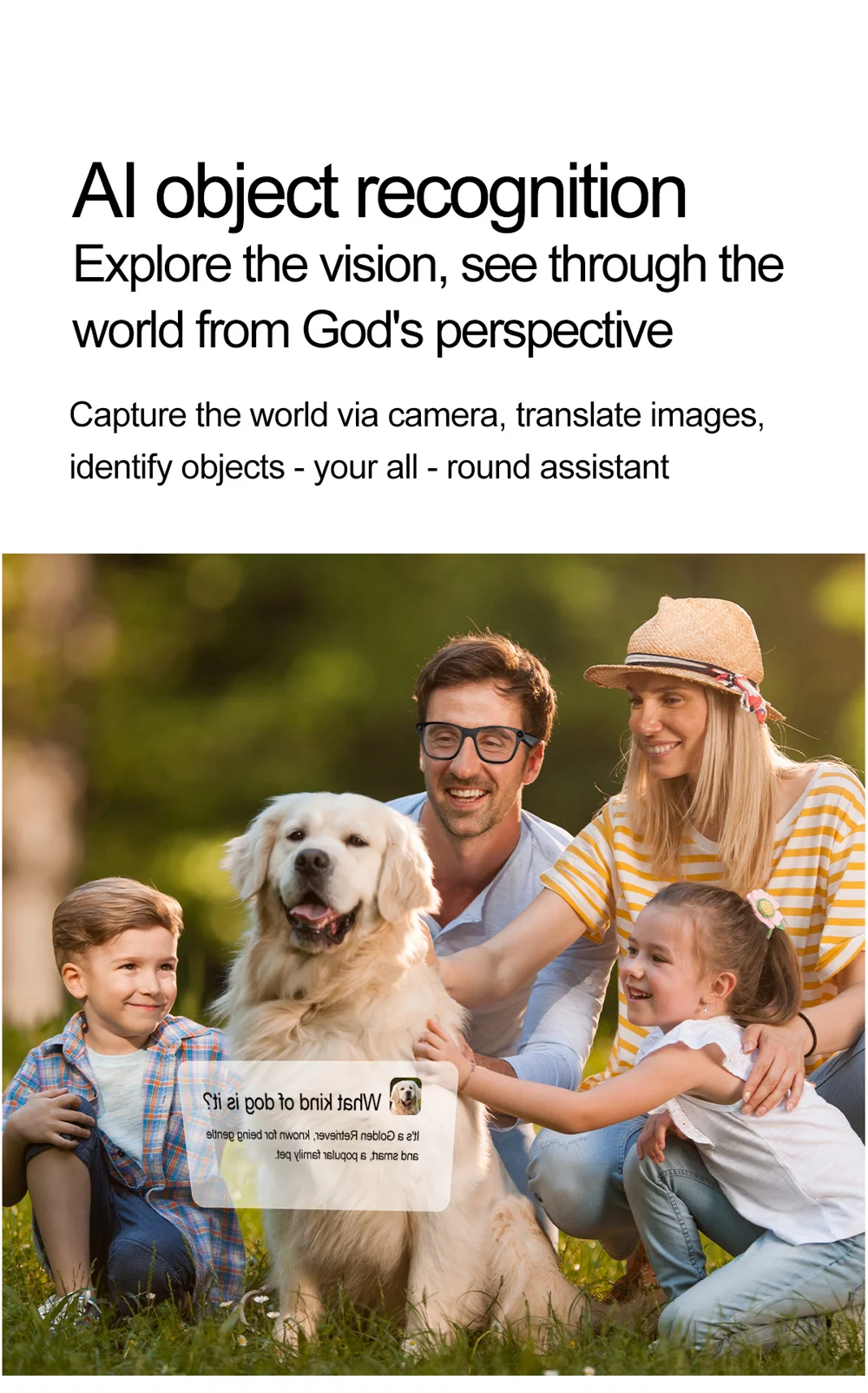 Lunettes intelligentes S336 AI Translator, appels compatibles Bluetooth, enregistrement vidéo anti-vibrations 5 MP, caméra 13